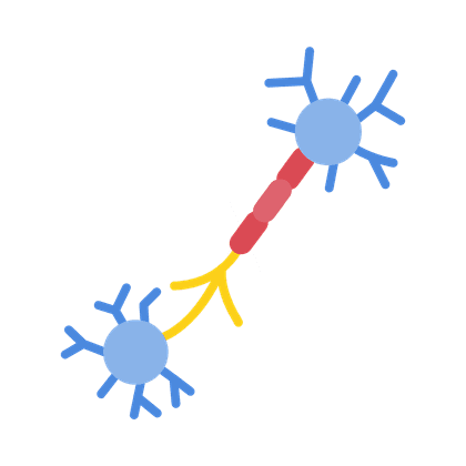 Polyneuropathy