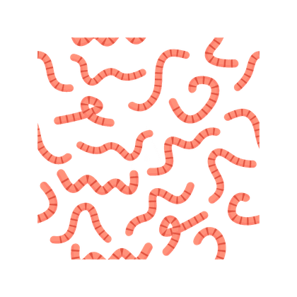 Helminthiasis (worm infestation)