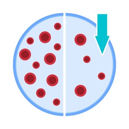 Anemia (Iron Deficiency)  